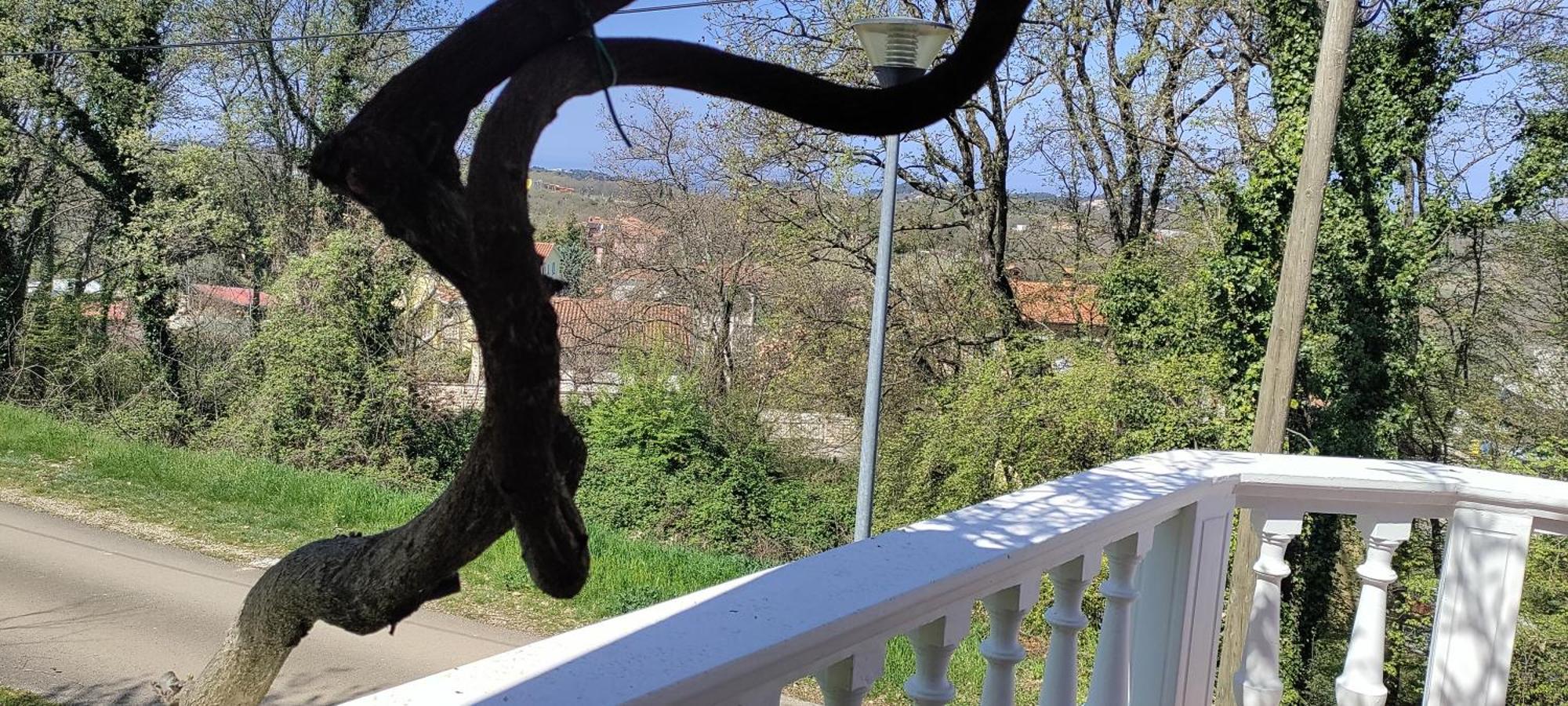 Vila Breskvar Mugeba Екстериор снимка